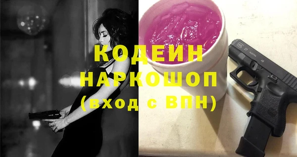 хмурый Алексин