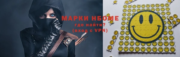 хмурый Алексин