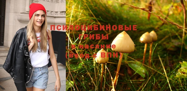 apvp Алексеевка