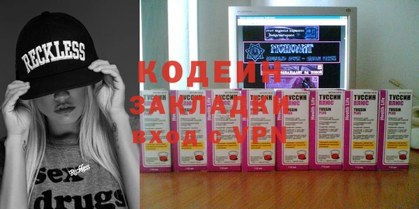 хмурый Алексин