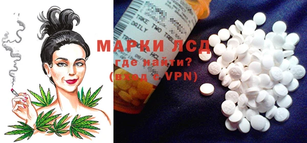 индика Алзамай