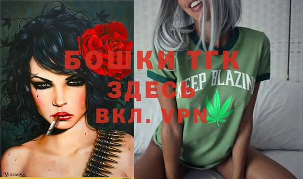 хмурый Алексин