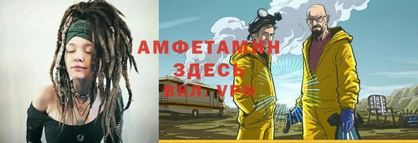 хмурый Алексин